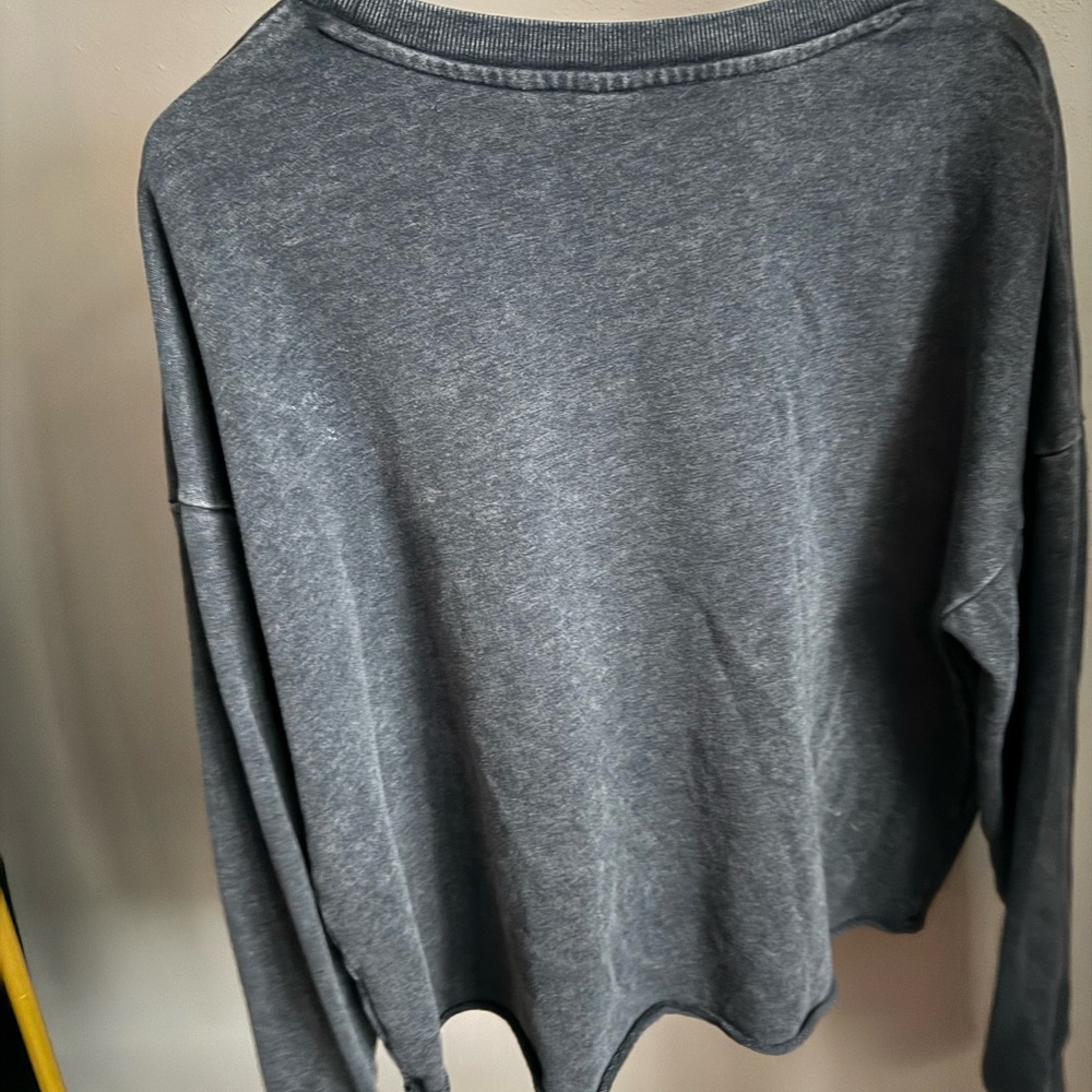 Pink Floyd Graphic Sweatshirt Junk Food Cropped Gray Band Tee Pullover XXL - Picture 4 of 4